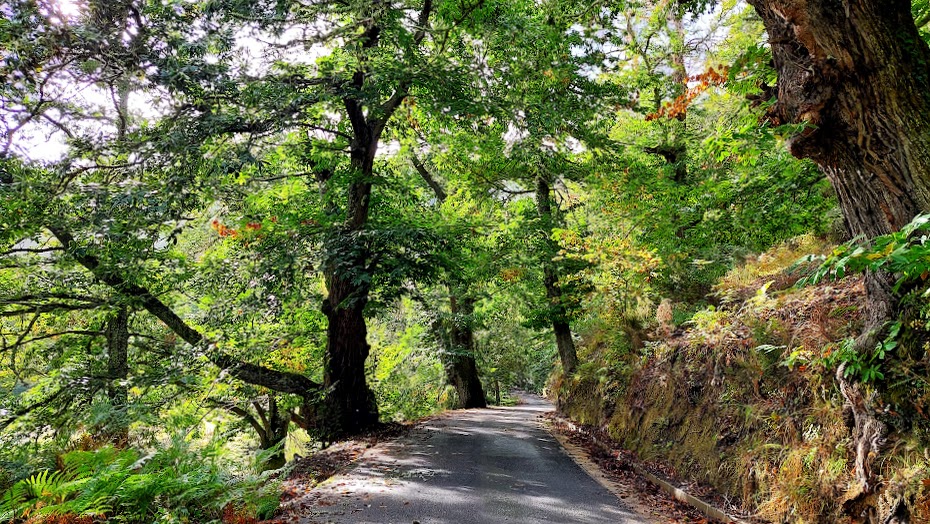 turismo rural, senderismo, turismo de montaña, turismo sensorial
