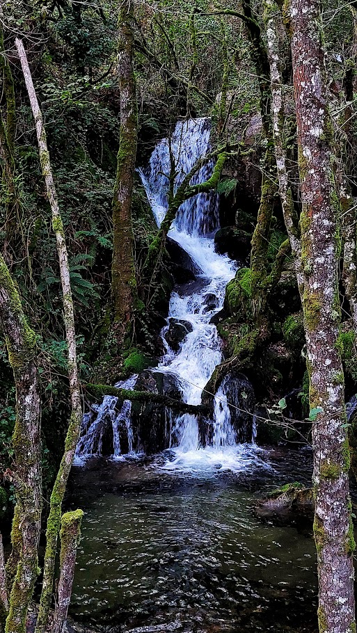 Escapadas de Otoño, Turismo sensorial, Ribeira Sacra, TURISMO CULTURAL
