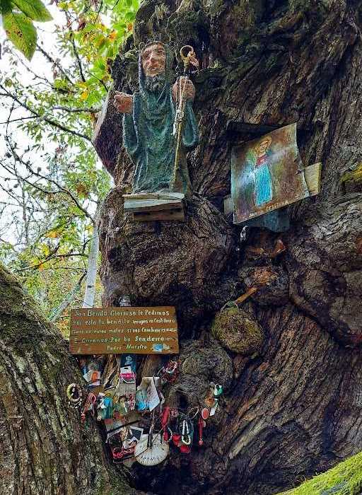 Escapadas de Otoño, Turismo sensorial, Ribeira Sacra, TURISMO CULTURAL