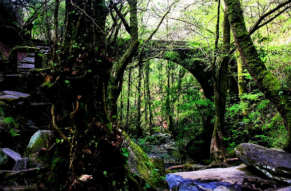 turismo sensorial, rutas de senderismo, fragas do eume, río Sesín