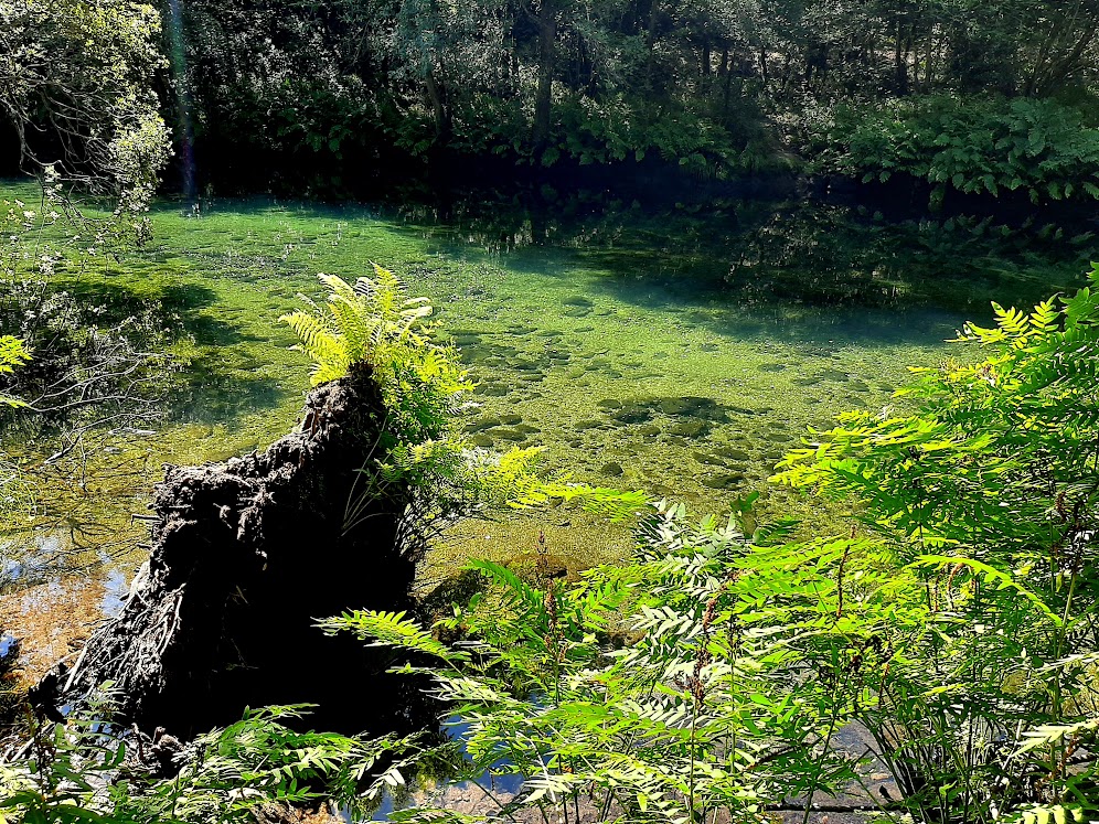 senderismo, turismo por la naturaleza, turismo rural