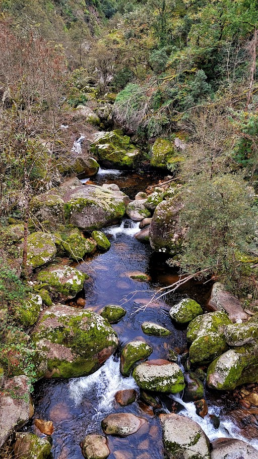 Escapadas de Otoño, Turismo sensorial, Ribeira Sacra, TURISMO CULTURAL
