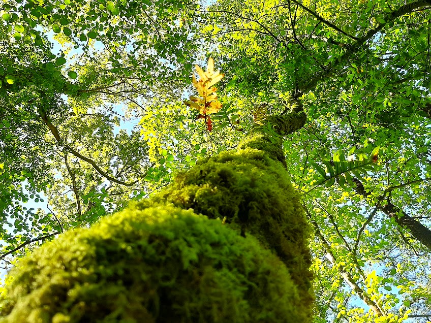 senderismo, turismo por la naturaleza, turismo rural