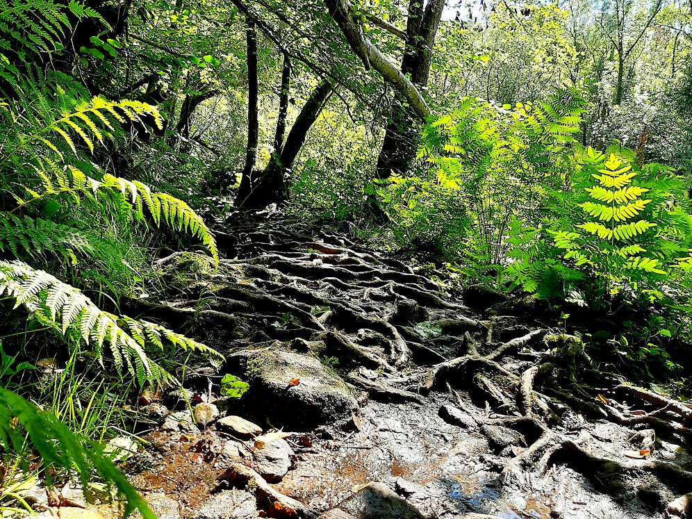 senderismo, turismo por la naturaleza, turismo rural