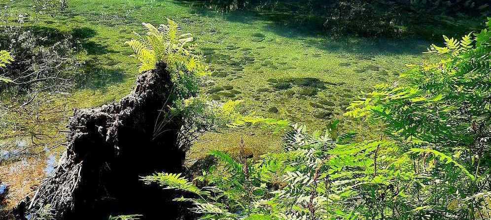 turismo sensorial, rutas de senderismo, fragas do eume, río eume