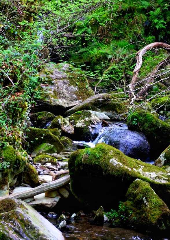 turismo sensorial, rutas de senderismo, fragas do eume, río sesín
