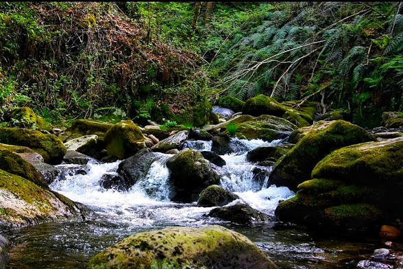 turismo sensorial, rutas de senderismo, fragas do eume, río Sesín