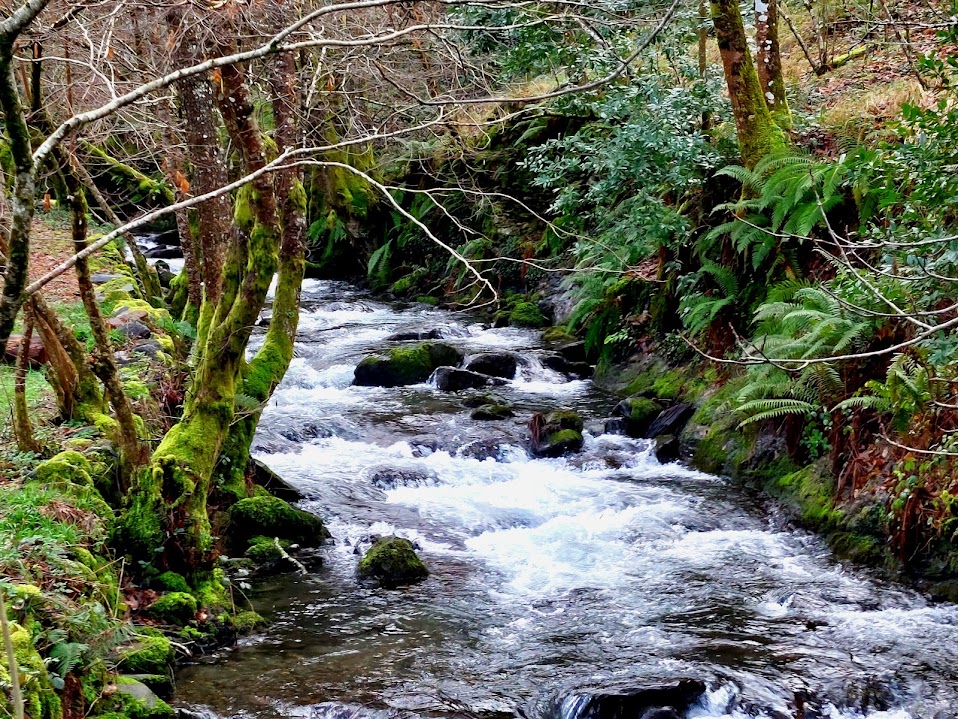 senderismo, viajes por la naturaleza, turismo rural