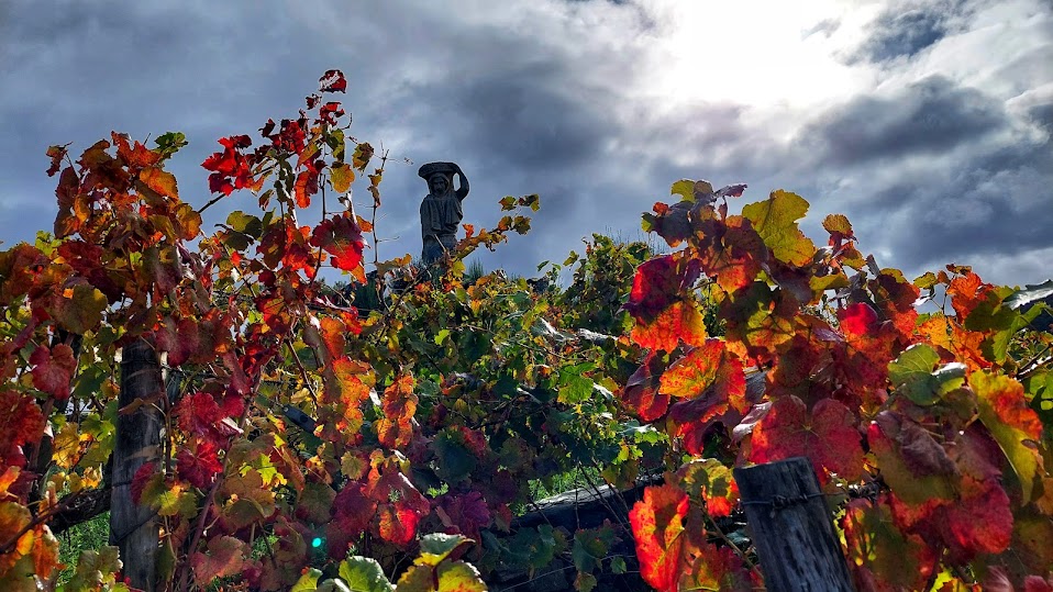 Escapadas de Otoño, Turismo sensorial, Ribeira Sacra, TURISMO CULTURAL