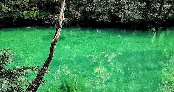 turismo sensorial, rutas de senderismo, fragas do eume, río eume