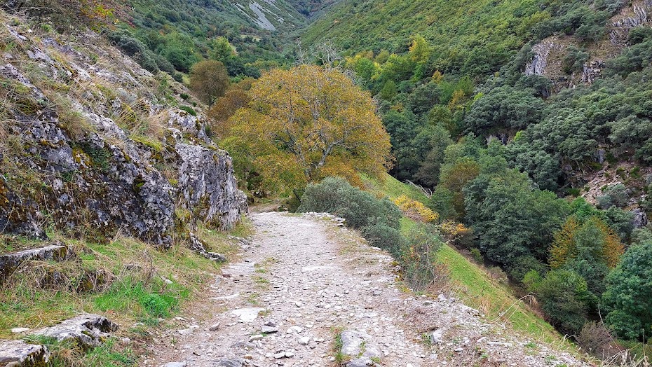 Peñalba de Santiago, turismo rural, senderismo, turismo de montaña, turismo sensorial, montes Aquilianos, turismo cultural