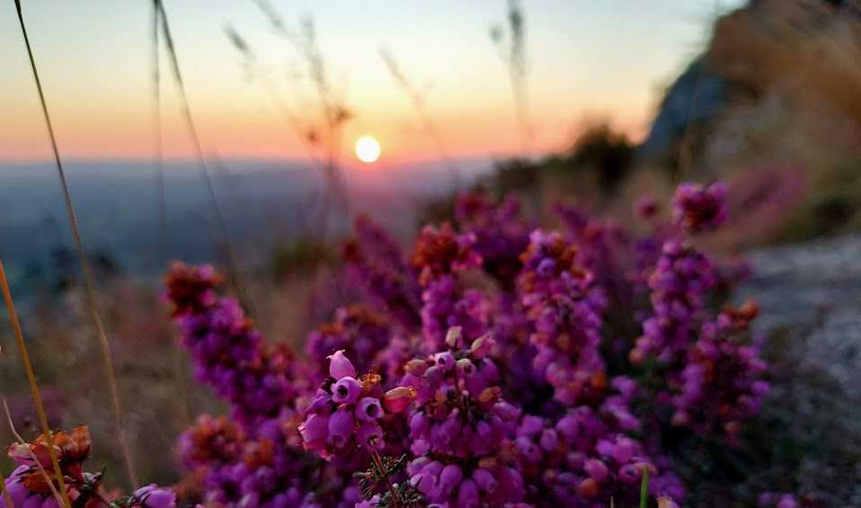 Camino de Santiago, Mailoc Travelers, escapadas románticas. viajes y sueños, pico sacro, viajes por galicia