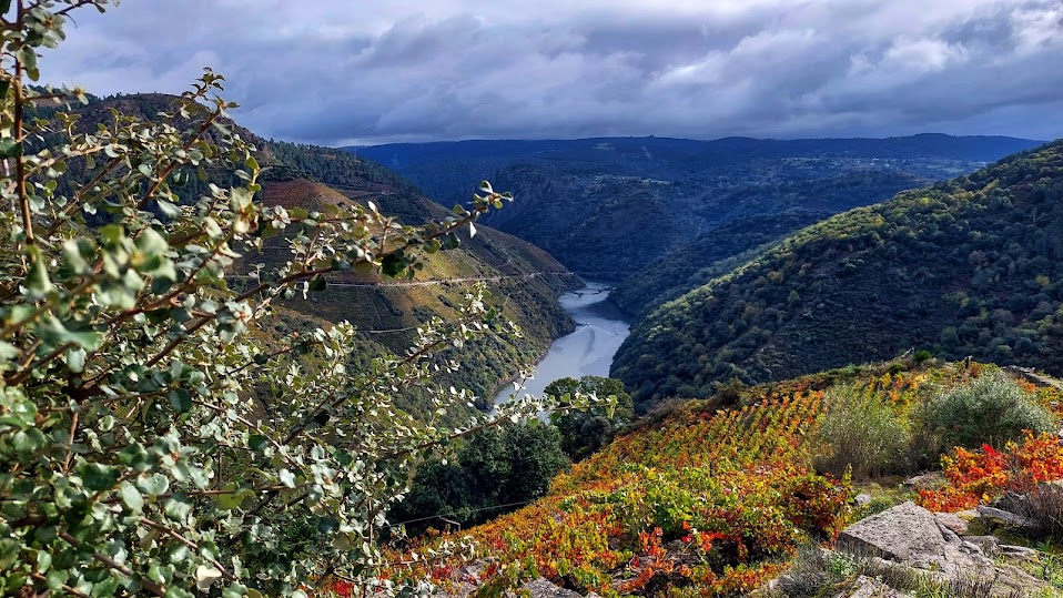 Escapadas de Otoño, Turismo sensorial, Ribeira Sacra, TURISMO CULTURAL