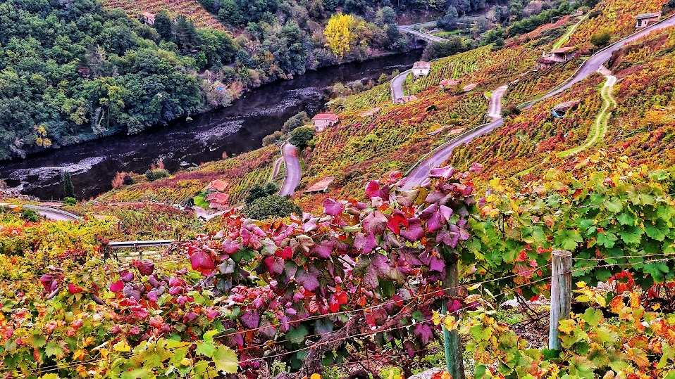 Escapadas de Otoño, Turismo sensorial, Ribeira Sacra